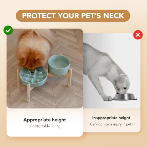 Elevated Slow Feeder Dog Bowls (Light Green)