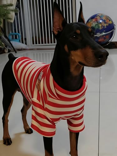 Turtleneck Dog Shirt Cute Doggie Embroidery Super Soft Dog Sweatshirt Stretchy Striped Puppy Pullover for Cats Small Medium Large Dogs (Red Striped / XXX-Large)