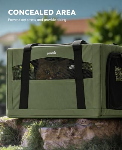 Cat Carrier Stable (Green Regular / 16.9"L x 11.0"W x 11.0"H)