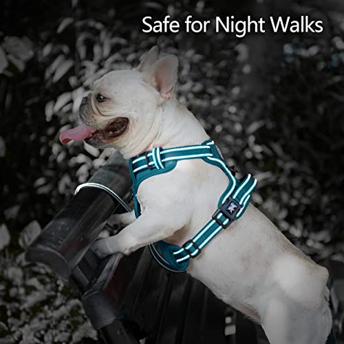 No Pull Dog Harness (Large / Tumalo Teal)