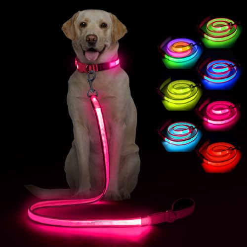 4 Ft Multi Color Light up Dog Leash (4 FT (Pink))