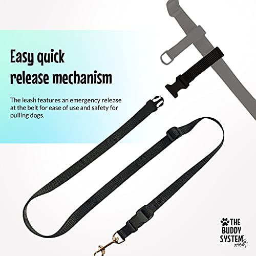 Hands Free Dog Leash (Small Dog System (Large Belt (27"- 50" Waist)) / Black)