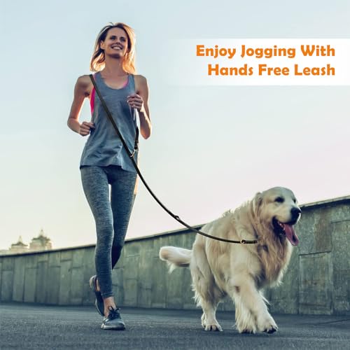 8ft Leather Dog Leash (Black / 8ft*1/2inch)