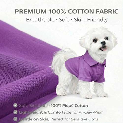Basic Dog Polo Shirts Premium Cotton (M (-12lbs) / Violet)