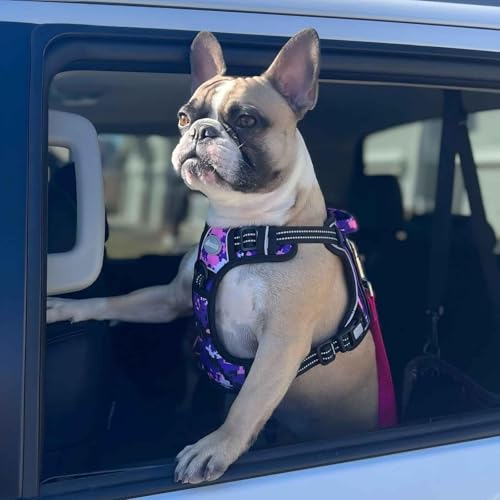 Dog Harness for Small Medium Dogs (Camo - Purple Camo / S(Neck:14-21",Chest:20-31"),18-35 lbs)