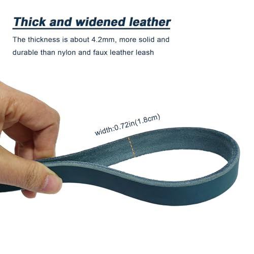 Leather Dog Leash 6ft x 3 (6 ft x 3/4 inch / Blue)