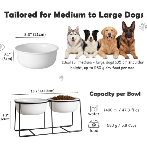 Ceramic Elevated Dog Bowl Set (Matte White / XL × 2)