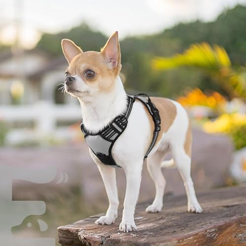 Dog Harness for Small Dogs (X-Small / Grey)