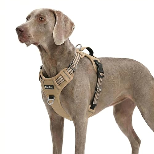 Dog Harness No Pull (Brown / X-Large)