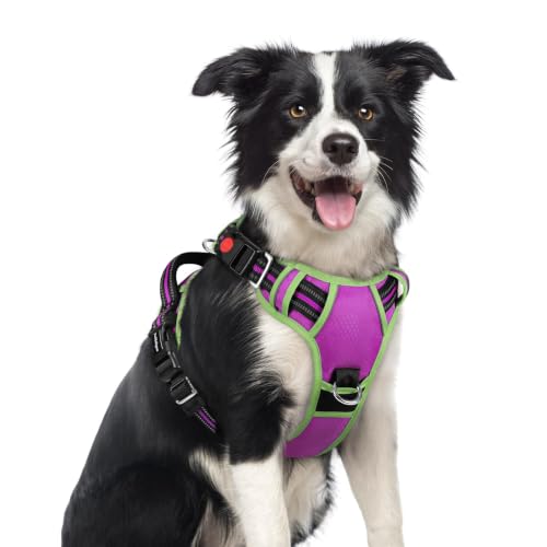 Dog Harness Medium Sized (Purple & Light Green / Medium)