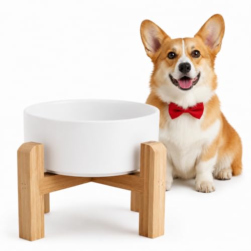 Elevated Raised Ceramic Dog Bowl with Bamboo Stand (White / Medium)