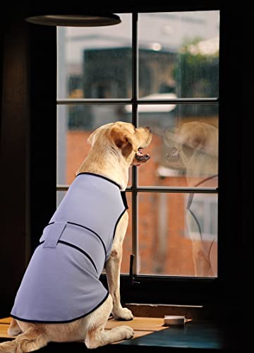 Dog Anxiety Jacket (Sky Blue / XX-Large)