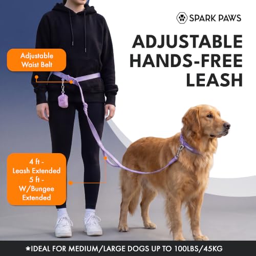 Hands Free Dog Leash (Fuchsia Camo)
