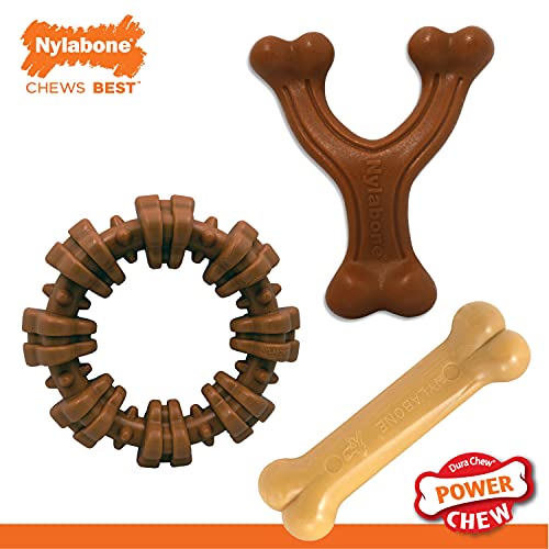 Power Chew Customer Favorites Dog Chew Toys (Small / Bundle)