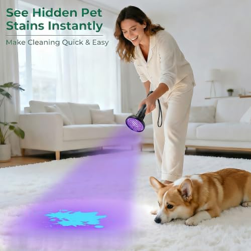 UV Flashlight Black Light (100 LED)