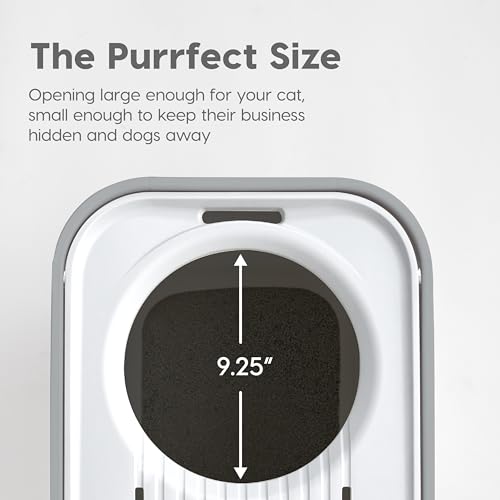 Cat Litter Box (Top Entry / Gray)