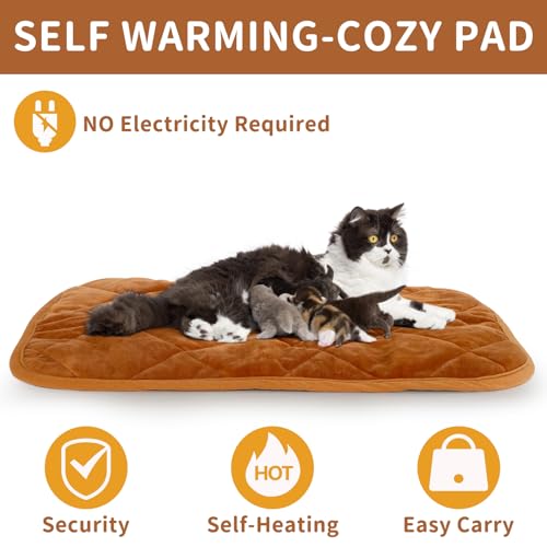 Self Warming Cat Bed Indoor (35x23 IN / Brown)