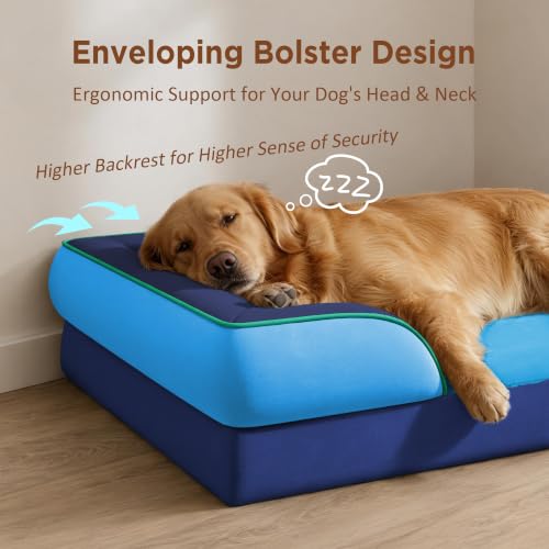 Orthopedic Dog Bed for Extra Large Dogs with Bolster (42.0"L x 30.0"W x 8.5"Th / Philadelphia)