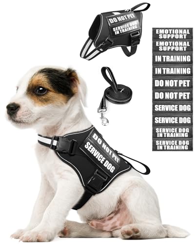 Service Dog Vest Harness and Leash Set+10 Patches for Puppy Small Dogs (Extra-Small / Black)