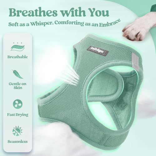 Dog Harness Small Sized and Leash Set (Moss Green / S (chest: 15.1 - 16.5"))