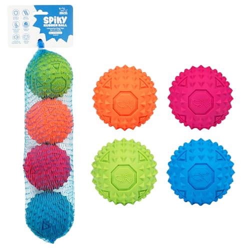 Interactive Squeaky Dog Chew Toy (Fuchsia, Green, Blue, Orange / Medium)