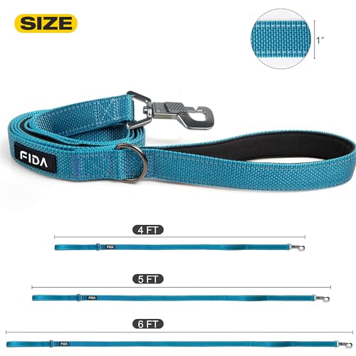 Heavy Duty Dog Leash for Medium Large Dogs (5 Feet (Pack of 1) / Blue)
