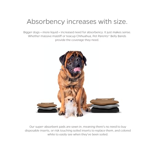 Washable Belly Bands for Dogs (X-Small (11-13") / Natural)