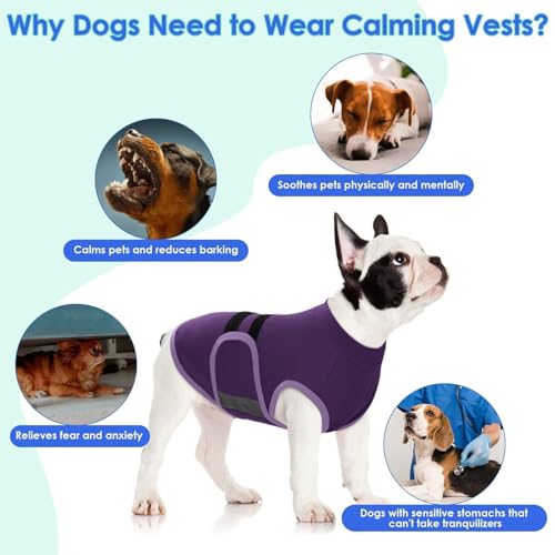 Dog Anxiety Relief Coat (Purple / X-Large)