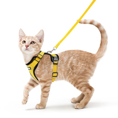 Cat Harness and Leash Set (Xs / Yellow)