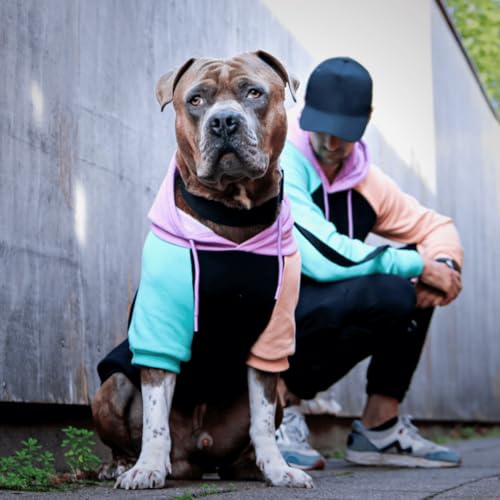 Dog Hoodie Buttery (Cyber Punk / XX-Large)