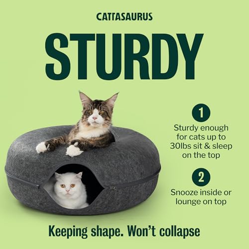 Peekaboo Cat Cave Duo Jumbo Set (Dark Gray + Dark Gray / Jumbo)