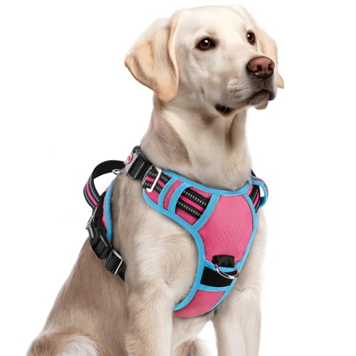 Dog Harness for Large (Pink & Blue / Large)