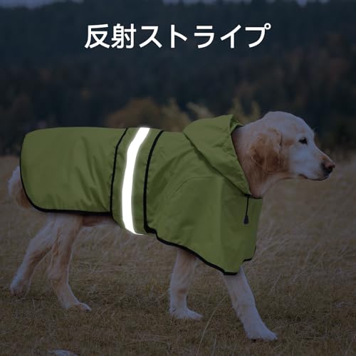 Dog Raincoat Reflective Waterproof Dog Rain Jacket Lightweight Rain Coat for Small Medium Large Dogs (Green / Medium)