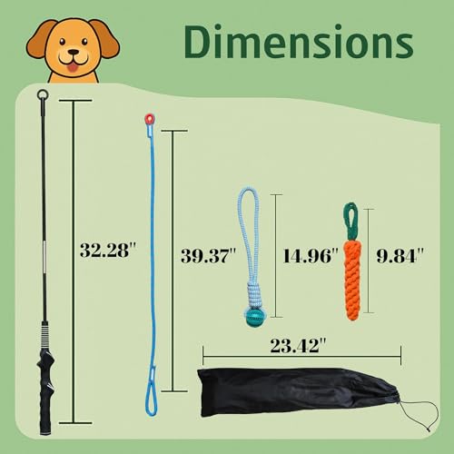 Flirt Pole for Dogs