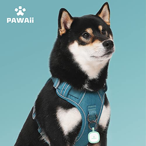 Small Dog Harness (XS (Chest: 12"-17" ) / Teal Green)