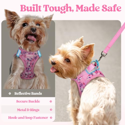 Dog Harness Small Sized and Leash Set (Pink Floral / Xs (chest: 13.3 - 15.5"))