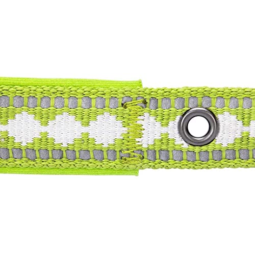 Reflective Jacquard Dog Collar with Neoprene Padding & Metal Buckle (Small / Metal Buckle-Macaw Green)