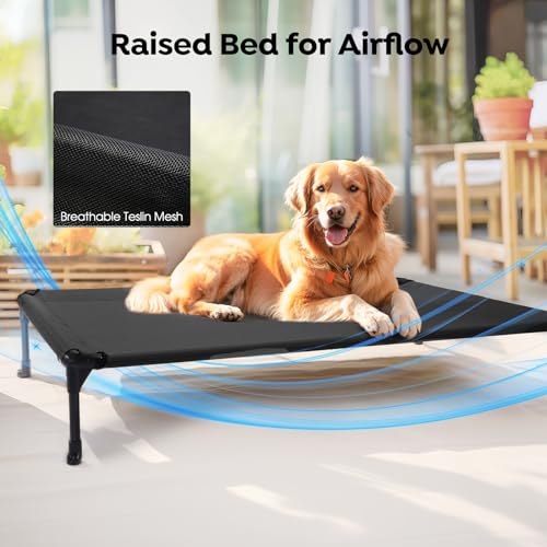 Outdoor Elevated Dog Bed with Waterproof Bolster Cushion (Black / 42.0"L x 30.0"W x 7.0"Th)