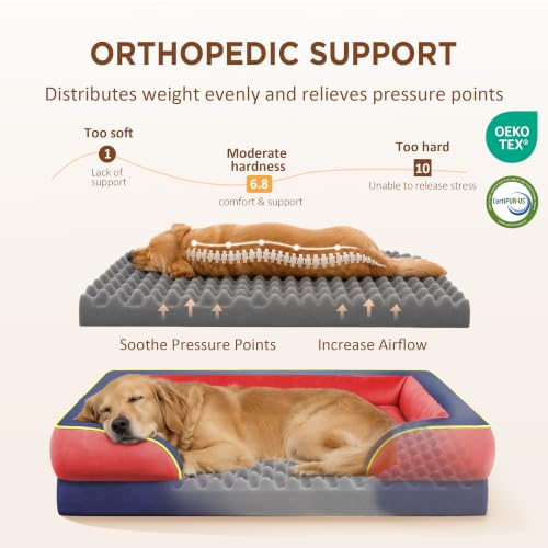 Orthopedic Dog Bed for Extra Large Dogs with Bolster (45.0"L x 35.0"W x 8.5"Th / Kansas)