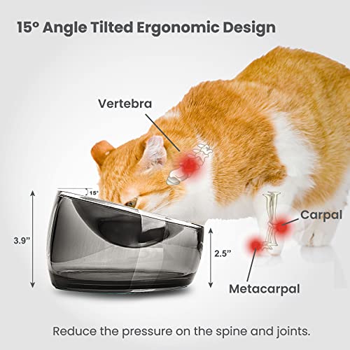 Oblik Elevated Cat Bowl Removable Stainless Steel Wide Dish for Dry Wet Food Feeding & Dishwasher Clean (Smoky / 0.5 Cups Shallow Dish)