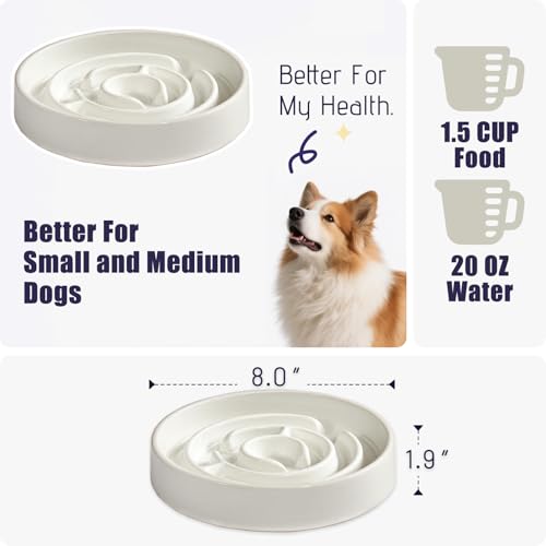 Ceramic Slow Feeder Dog Bowl (White)