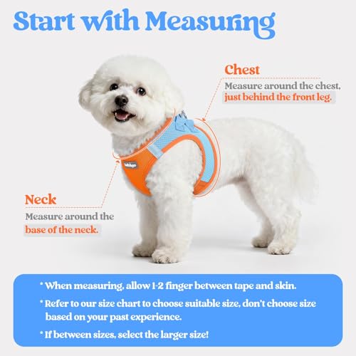 Dog Harness Medium Sized and Leash Set (Blue & Orange / Xl (chest: 20 - 21.8"))