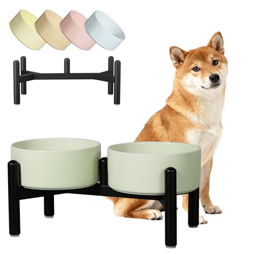 Ceramic Elevated Dog Bowl Set (Green / 3.5 Cups)