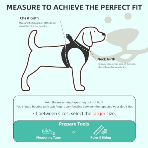 Dog Harness Collar and Leash Set No Pull for Small Medium Sized (Lake Green / M (CHEST 16"-18"))
