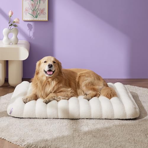 Cute Orthopedic Dog Bed for Extra Large Dogs (44"L x 32"W x 4"Th / Cream)
