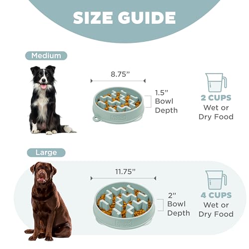 Fun Feeder Slo Bowl Dog Slow Feeder (Sage / Medium)