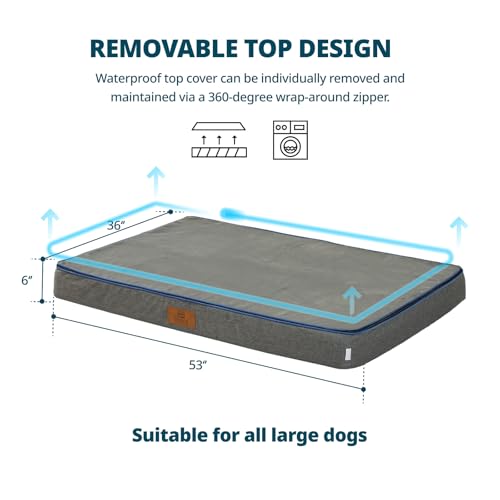 Orthopedic Memory Foam Giant Dog Bed (53.0"L x 36.0"W x 6.0"Th / Dark Grey)