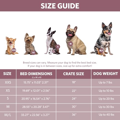 QuietTime Fashion Dog Bed (Pink / 24 Inch)