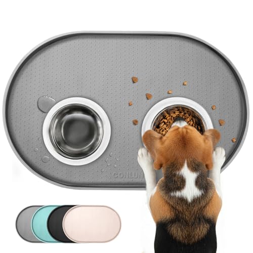 Dog Food Mat 1 (19 x 12" - Standard / Turquoise)