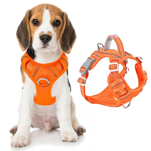 No Pull Dog Harness for Medium Sized Dogs (Medium(Chest:22.5-28") / Orange)